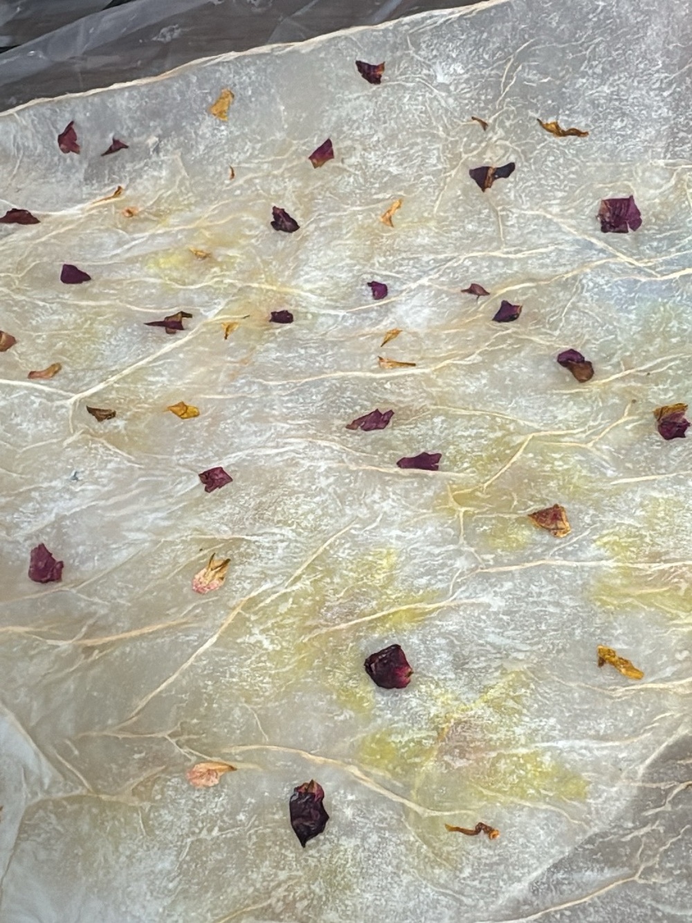 Homemade Rice Paper Sheets - Picture 5 of 11